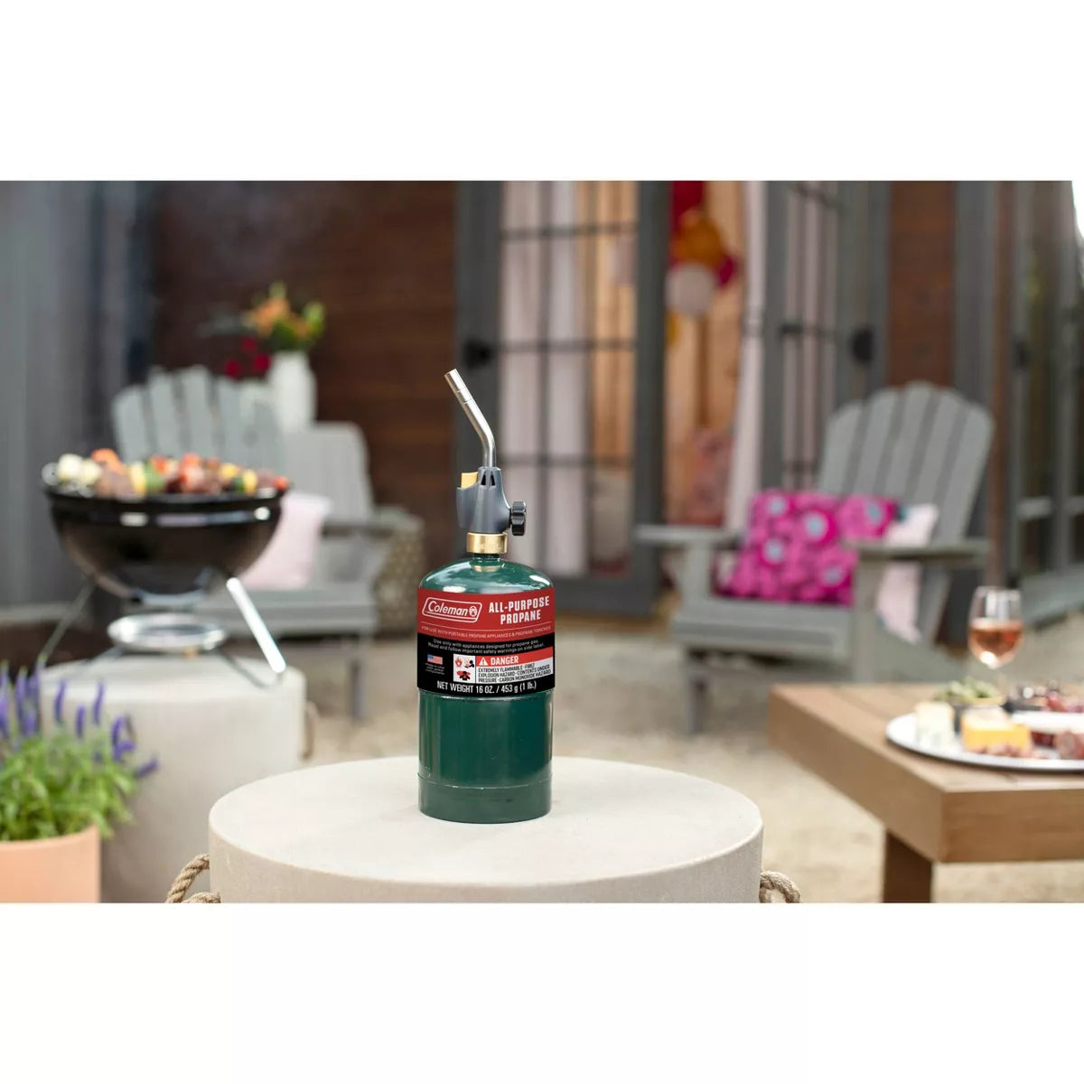 Coleman All-Purpose Propane Gas Cylinders 16 oz - 2 Pack for Portable Appliances