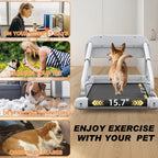 Witaxima 2025 New Quiet Smart Pet Treadmill, Adjustable Speed, Perfect for Small/Medium Dogs